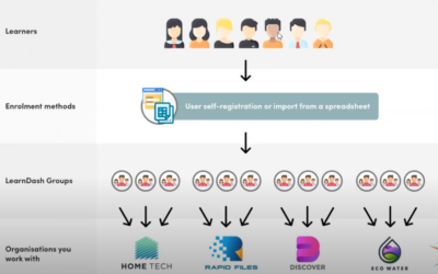 Setting up groups in LearnDash B2B Toolkit